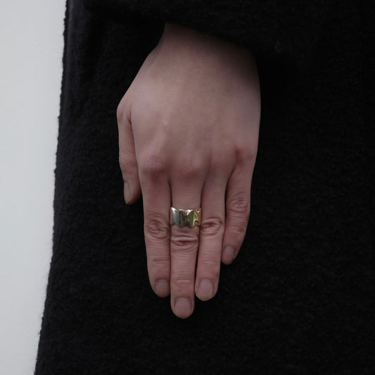 Twister 12mm Ring - Yellow Gold and Sterling Silver