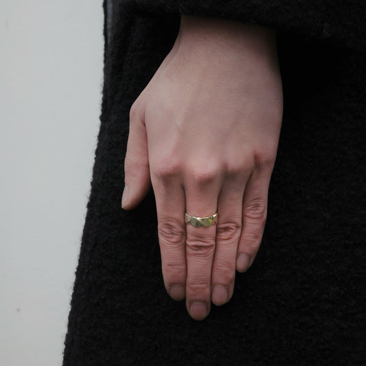 Twister 8mm Ring - Yellow Gold and Sterling Silver